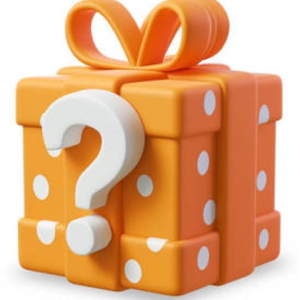 Mystery Box Woman’s Clothing and Accessories